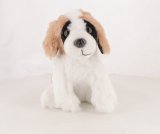 Le saint-bernard (M2812-11)