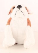 Le bouledogue anglais (M2812-13)