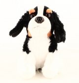 Le cavalier king - charles (M2812-3)