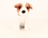 Le jack russell (M2812-6)