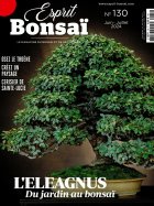 Esprit Bonsaï