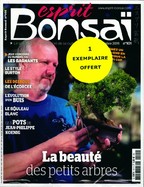 Esprit Bonzaï + un...