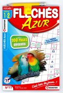 MG Fléchés Azur Ni...