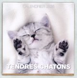 Calendrier 2025 Te...