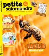 Petite Salamandre