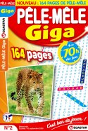 MG Pêle Mêle Giga