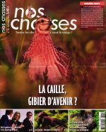 Nos Chasses