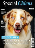 Spécial Chiens