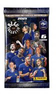 Panini pochette Bl...