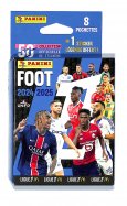 Panini pack pochet...