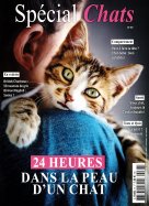 Spécial Chats