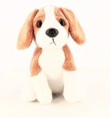 Le beagle (M2812-1)