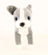 L'american staffordshire terrier (M2812-15)