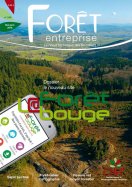 Forêt Entreprise